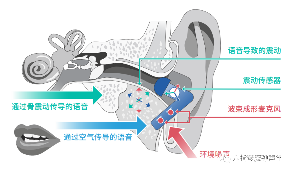 应用于TWS耳机的DSP语音捕捉技术_Alango